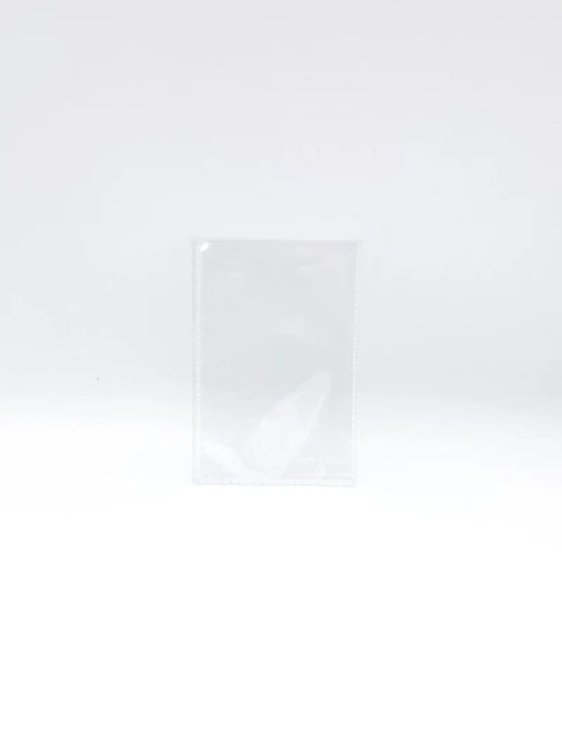 Busta In Polipropilene Trasparente 6x10cm 100pz