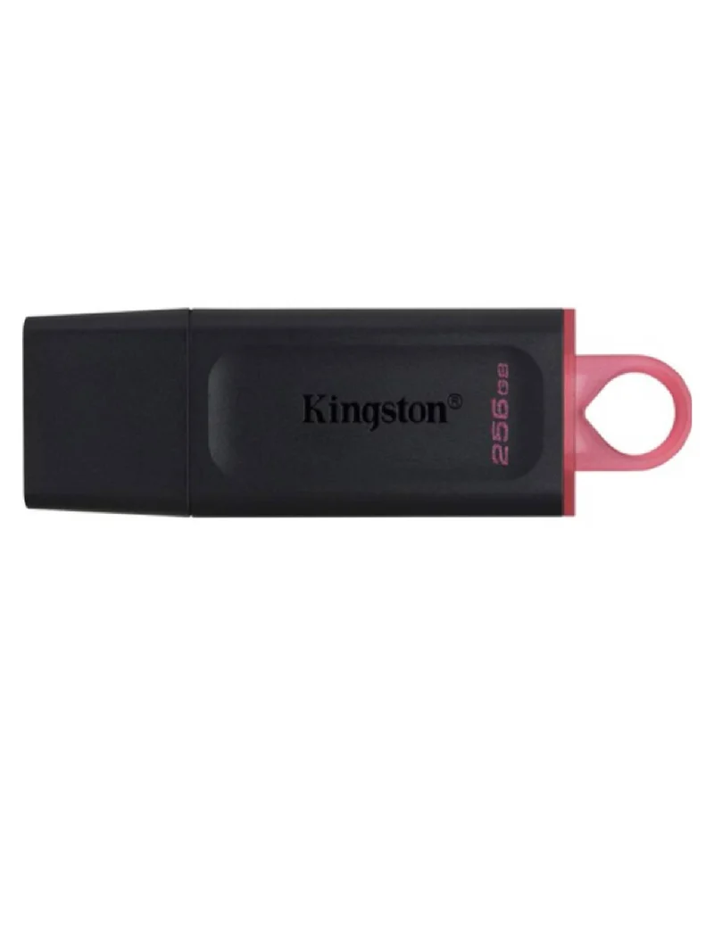 Chiavetta USB Kingston Data Traveler 256 GB 3.2