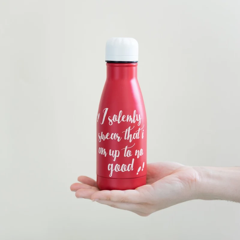 Bottiglia termica Harry Potter da 260 ml