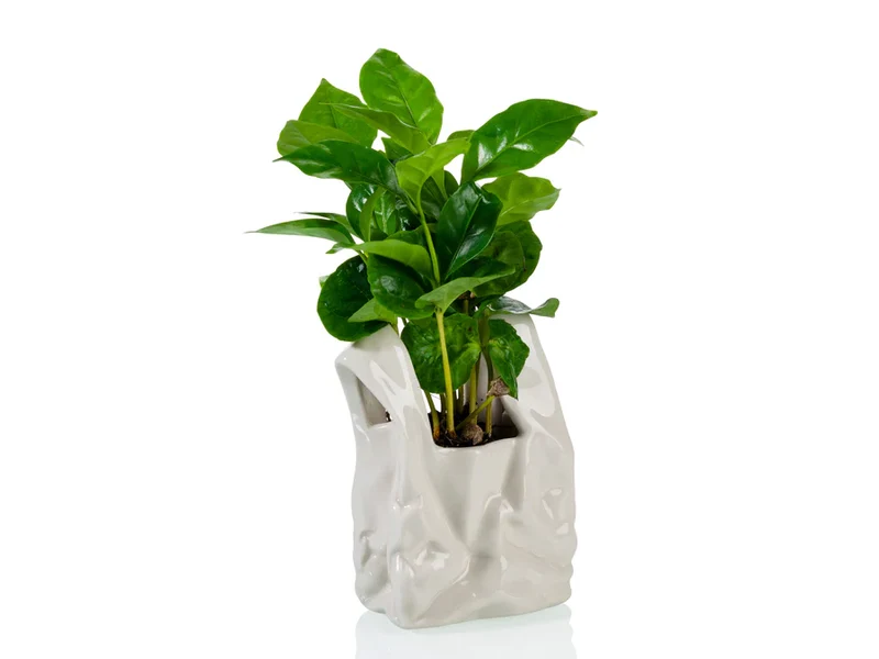 I AM NOT A PLASTIC BAG SMALL