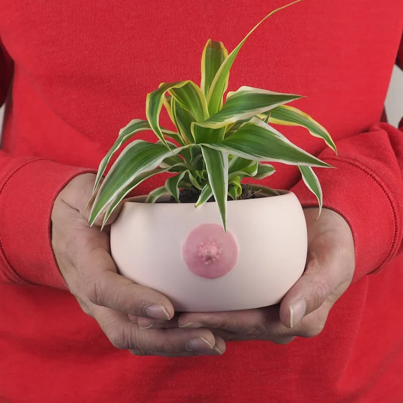 BOOB BOWL