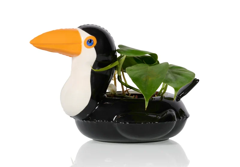 FLOATY TOUCAN POT