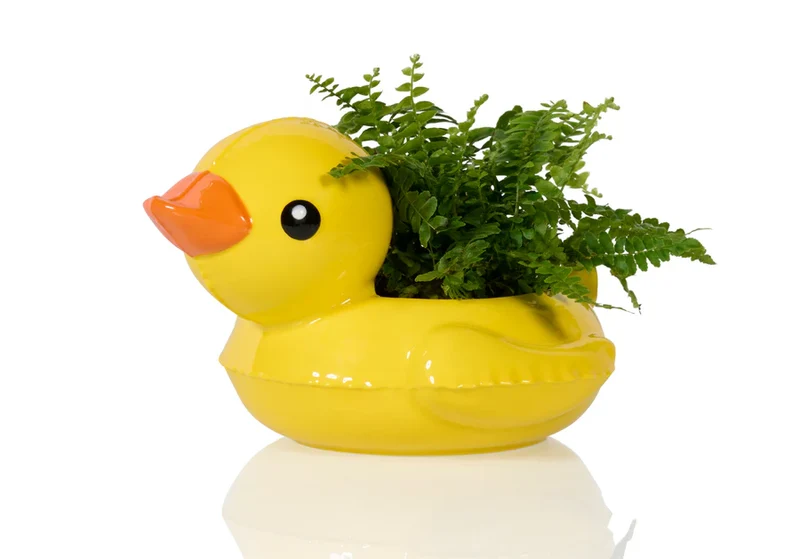 FLOATY DUCK POT