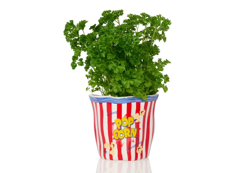 POPCORN CERAMIC BAG