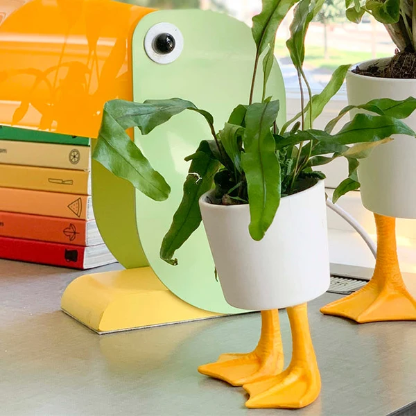 DUCK FEET PLANTER SMALL