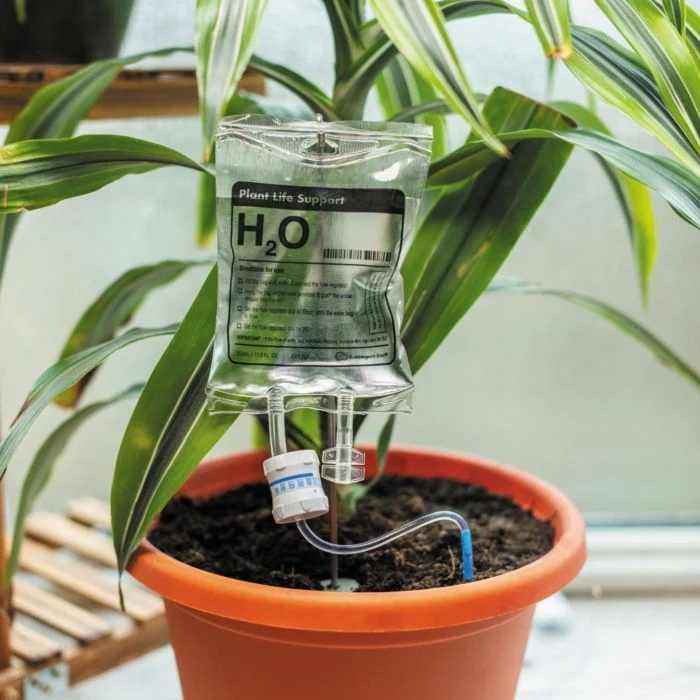 PLANT LIFE SUPPORT
