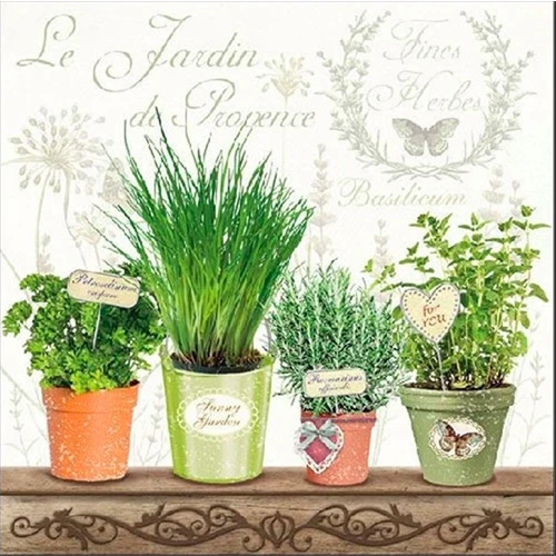 TOVAGLIOLI LE JARDIN DE PROVENCE