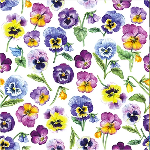 TOVAGLIOLI PANSY ALL OVER
