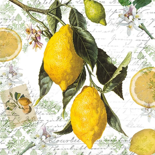 TOVAGLIOLI LEMON