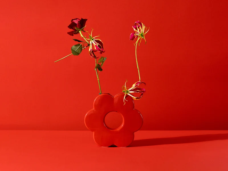 VASE DAISY RED