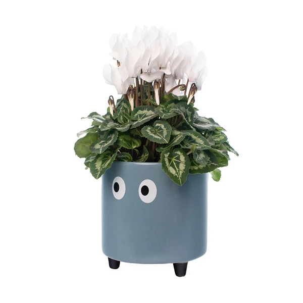 PORTA VASO OCCHI BLU