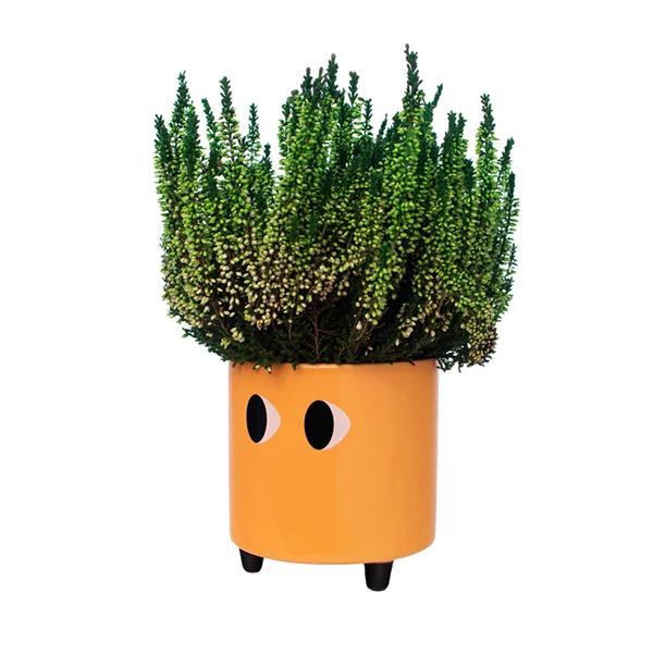PORTA VASO OCCHI ARANCIO