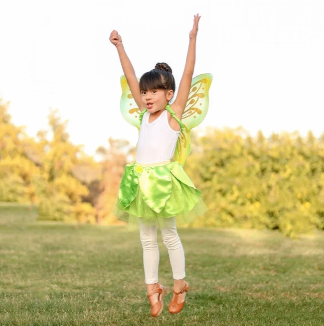 TINKER BELL SKIRT & WINGS