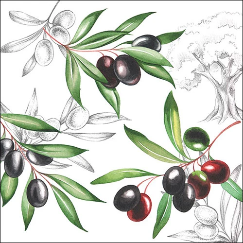 TOVAGLIOLI CARTA OLIVES 13309770 666