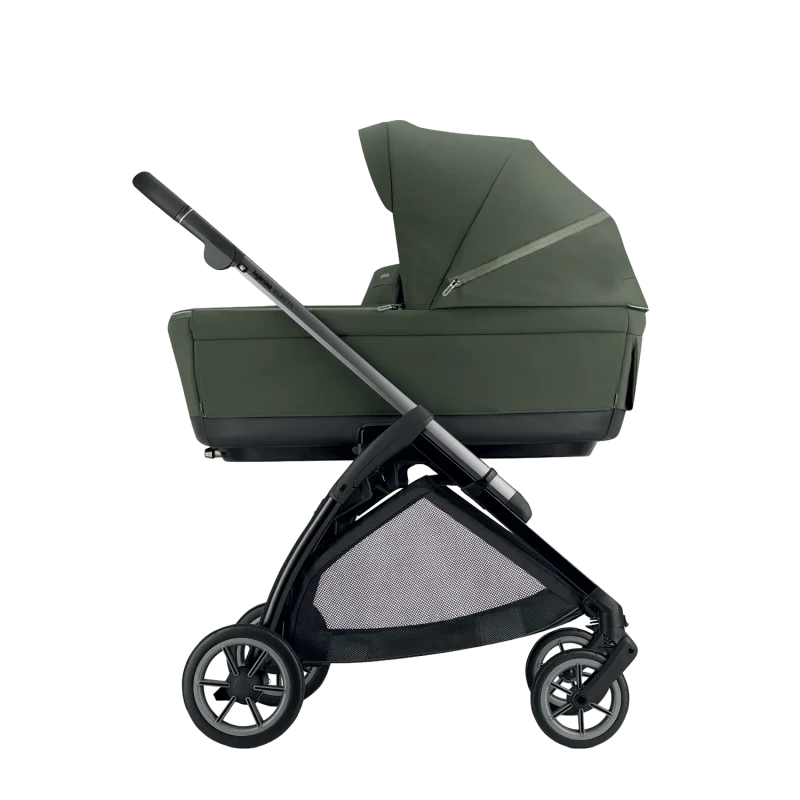 Trio Inglesina Electa 2026 Darwin Infant Recline Evo Loft Green
