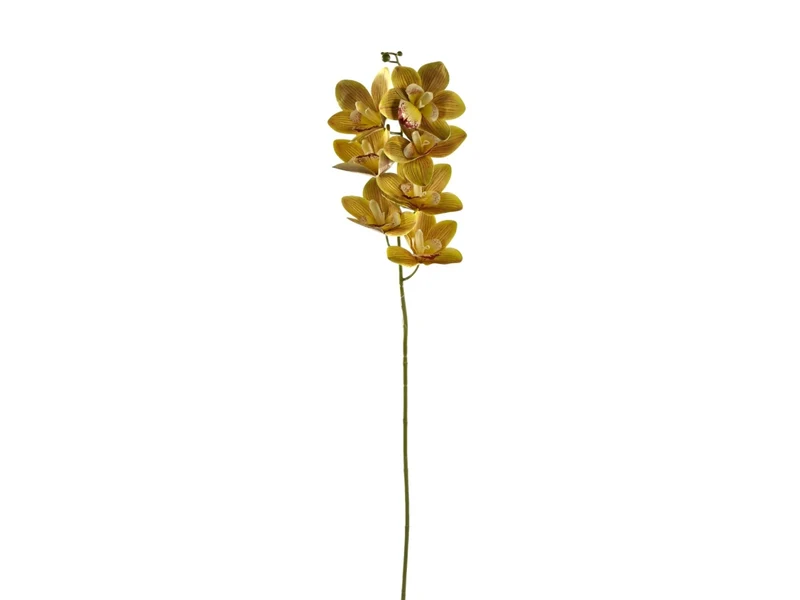 Ramo orchidea 7fiori verde