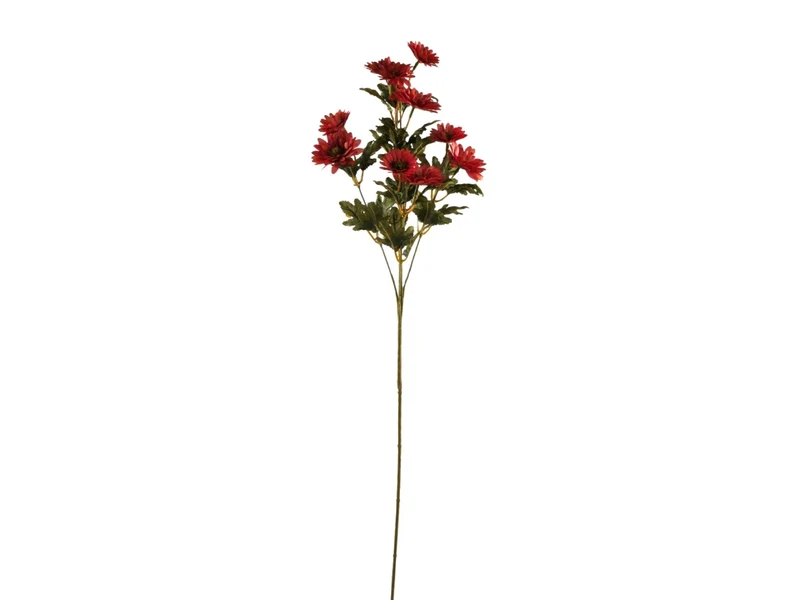 Margherita ramo con 10 fiori fucsia
