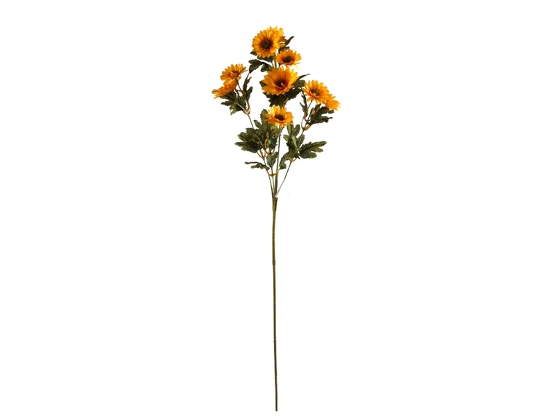 Margherita ramo con 10 fiori giallo