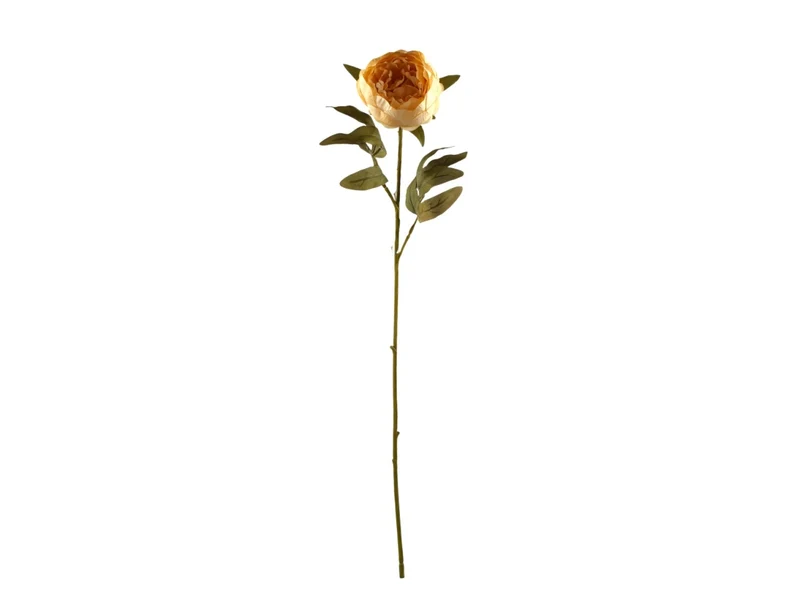 Ramo Peonia singola beige